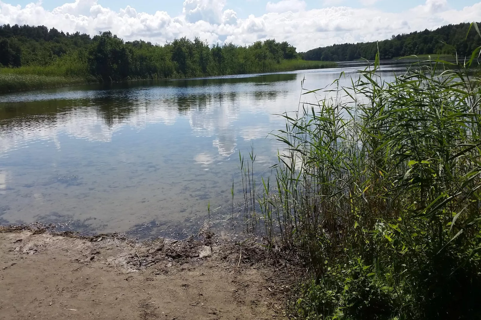 Holiday flat in Kolczewo70 qm for 6 persons-Gebiete Sommer 1 km