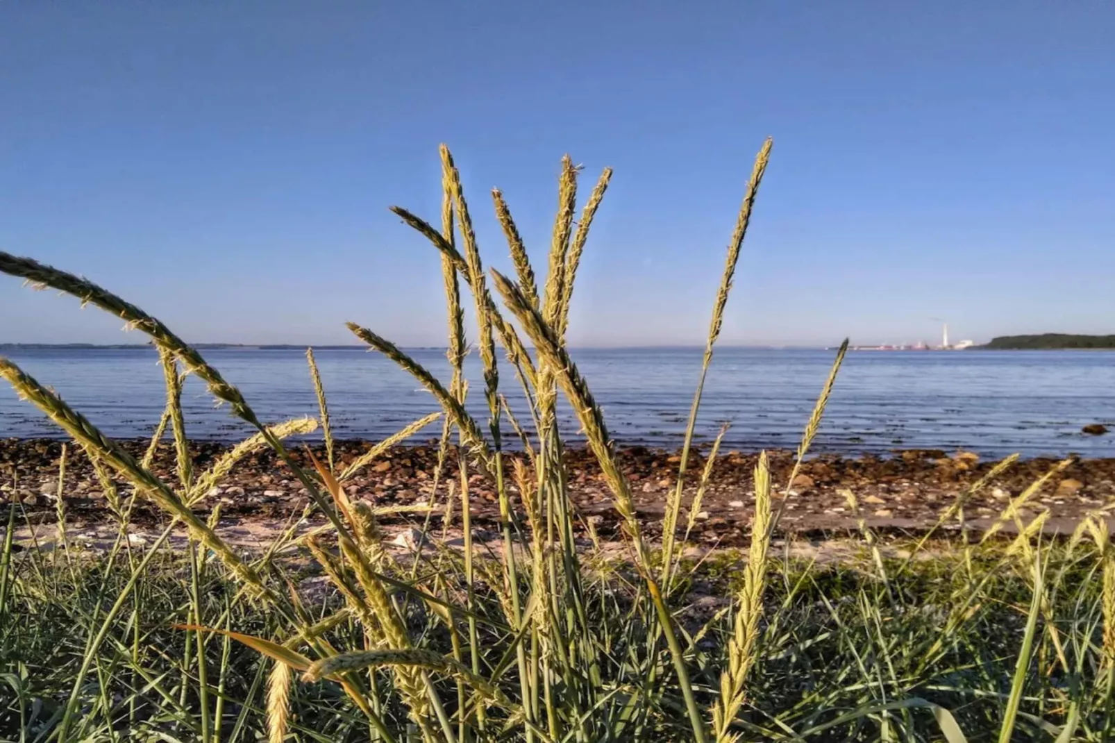 Maison de vacances pour 4 a Rønde-By Traum-Vue sur l'eau
