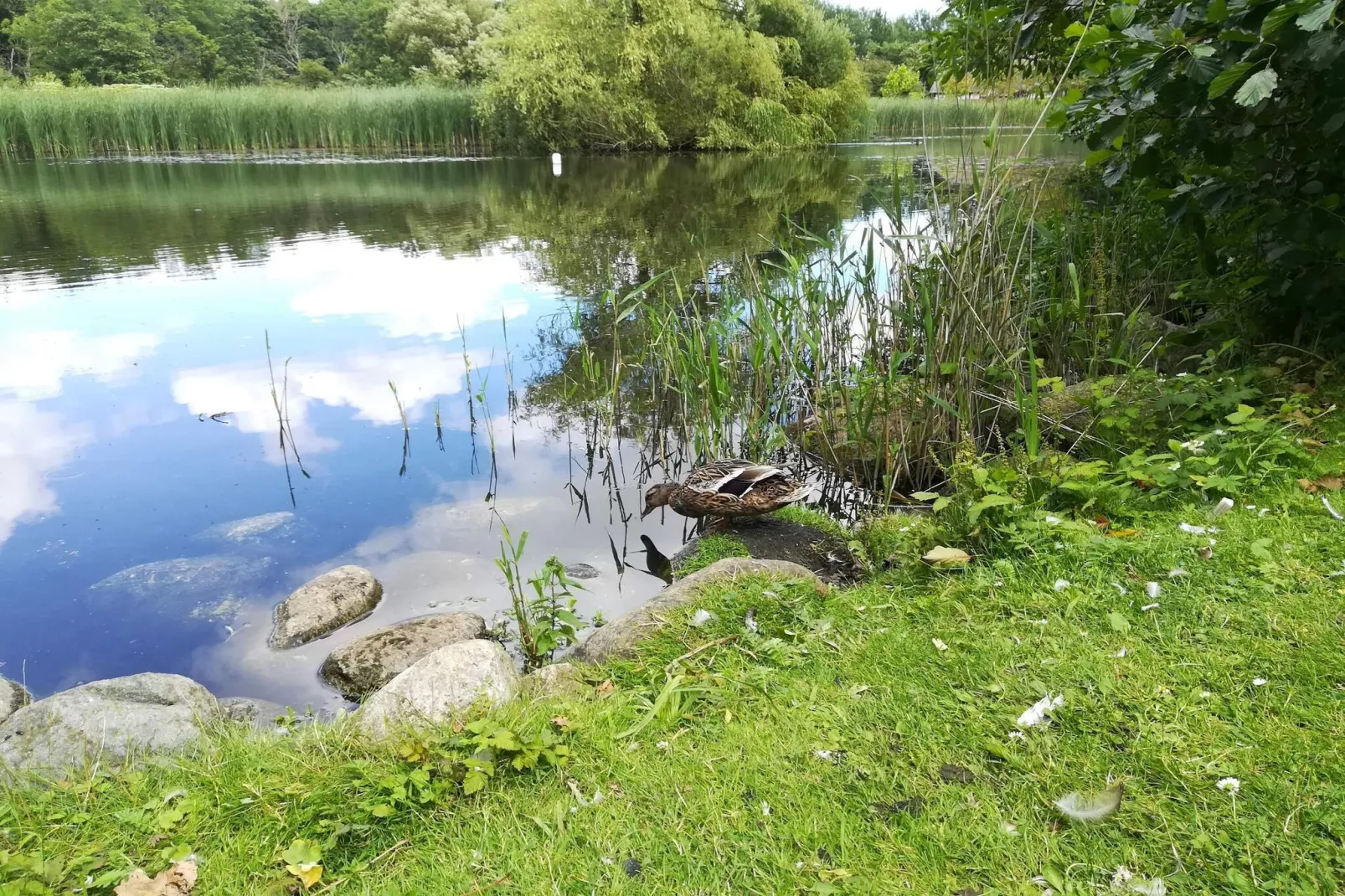 Maison de vacances pour 6 a Væggerløse-By Traum-Vue sur l'eau