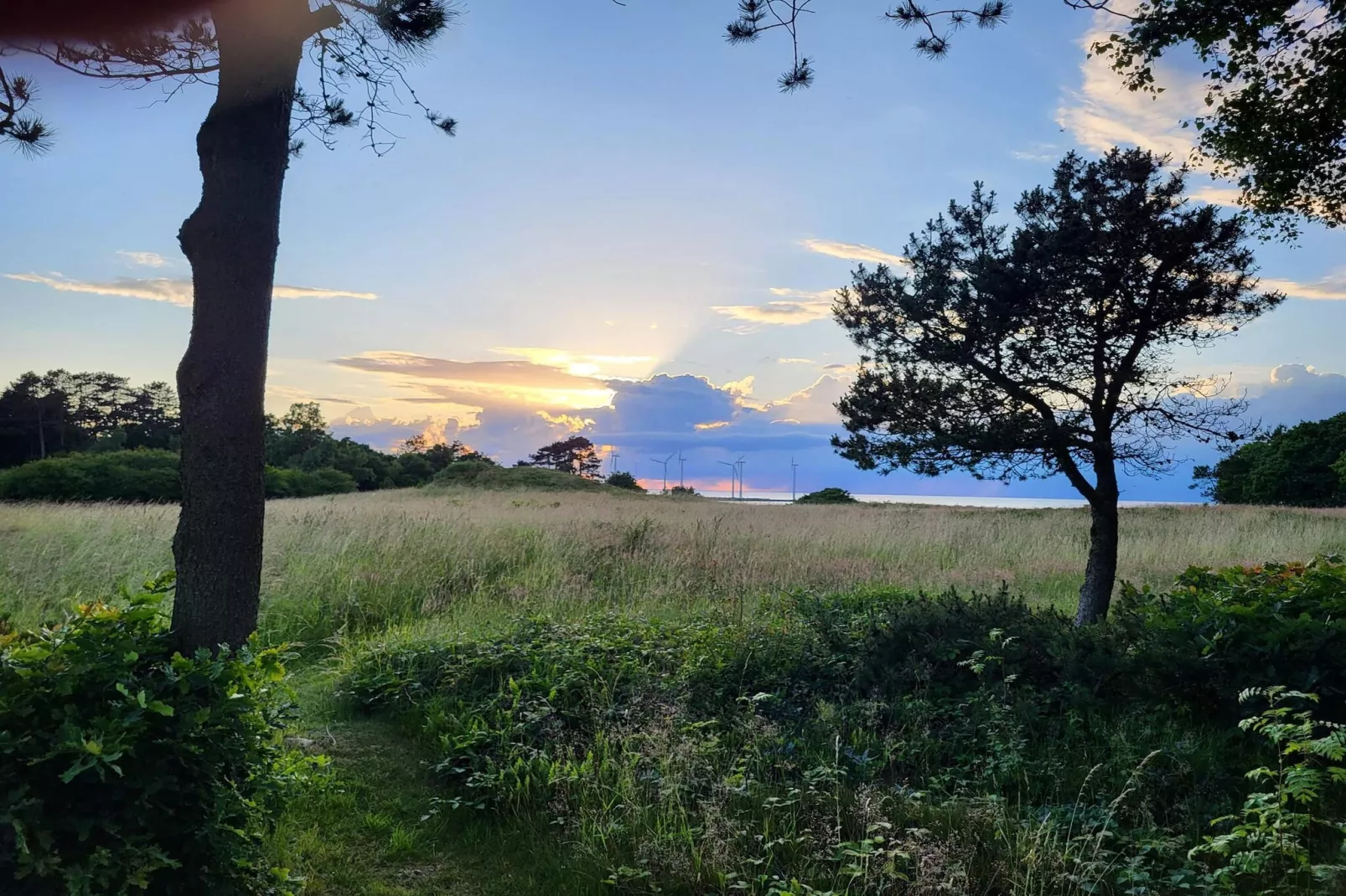 Sonniges Refugium im Hafen von Bonnerup-By Traum-Nicht zugeordnet