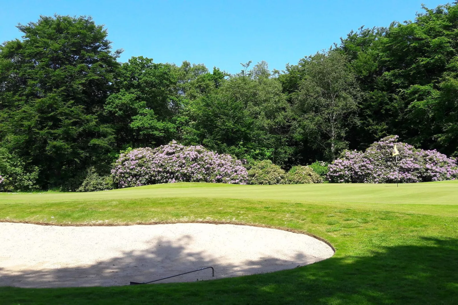 6 person holiday home in Nibe-By Traum-Untagged