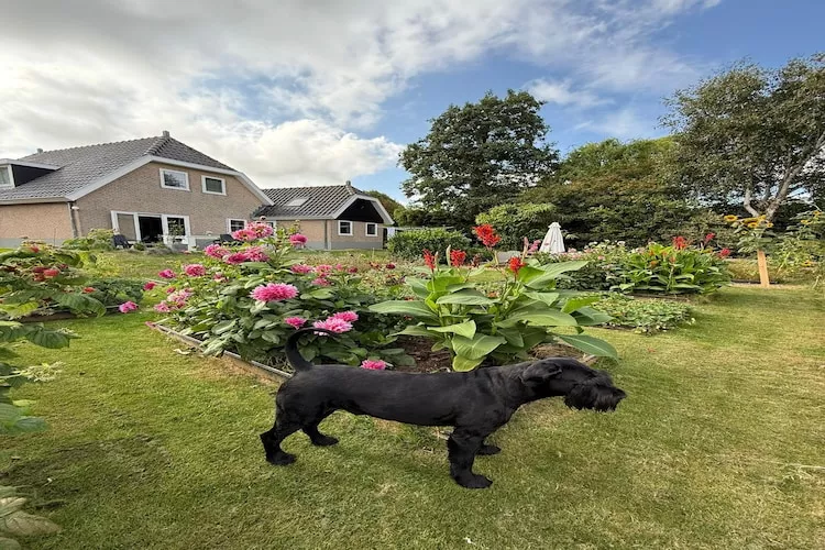 Fancy-Gardens in summer