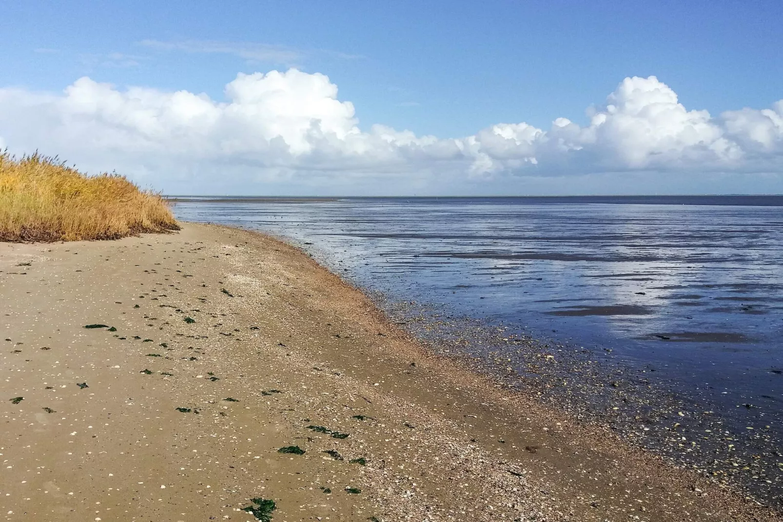 Retraite de luxe a Romo -- By Traum Ferienwohnungen-Vue sur l'eau