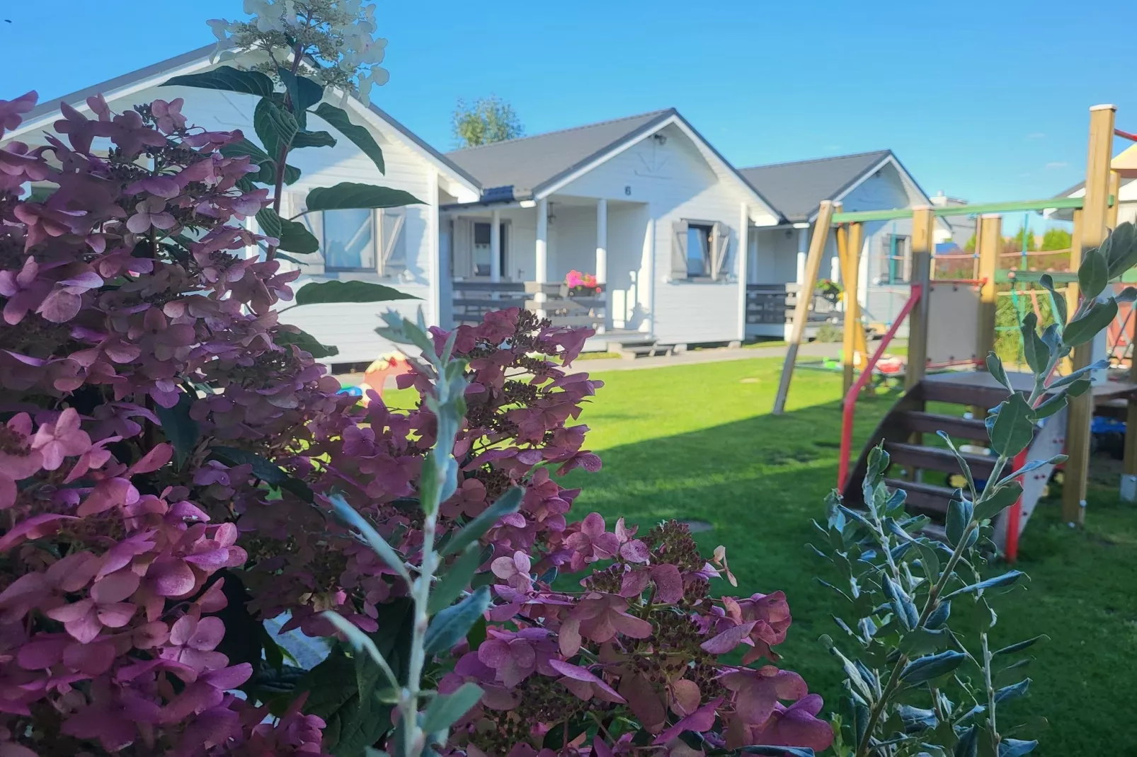 Domki wakacyjne w Gąskach-Gardens in summer