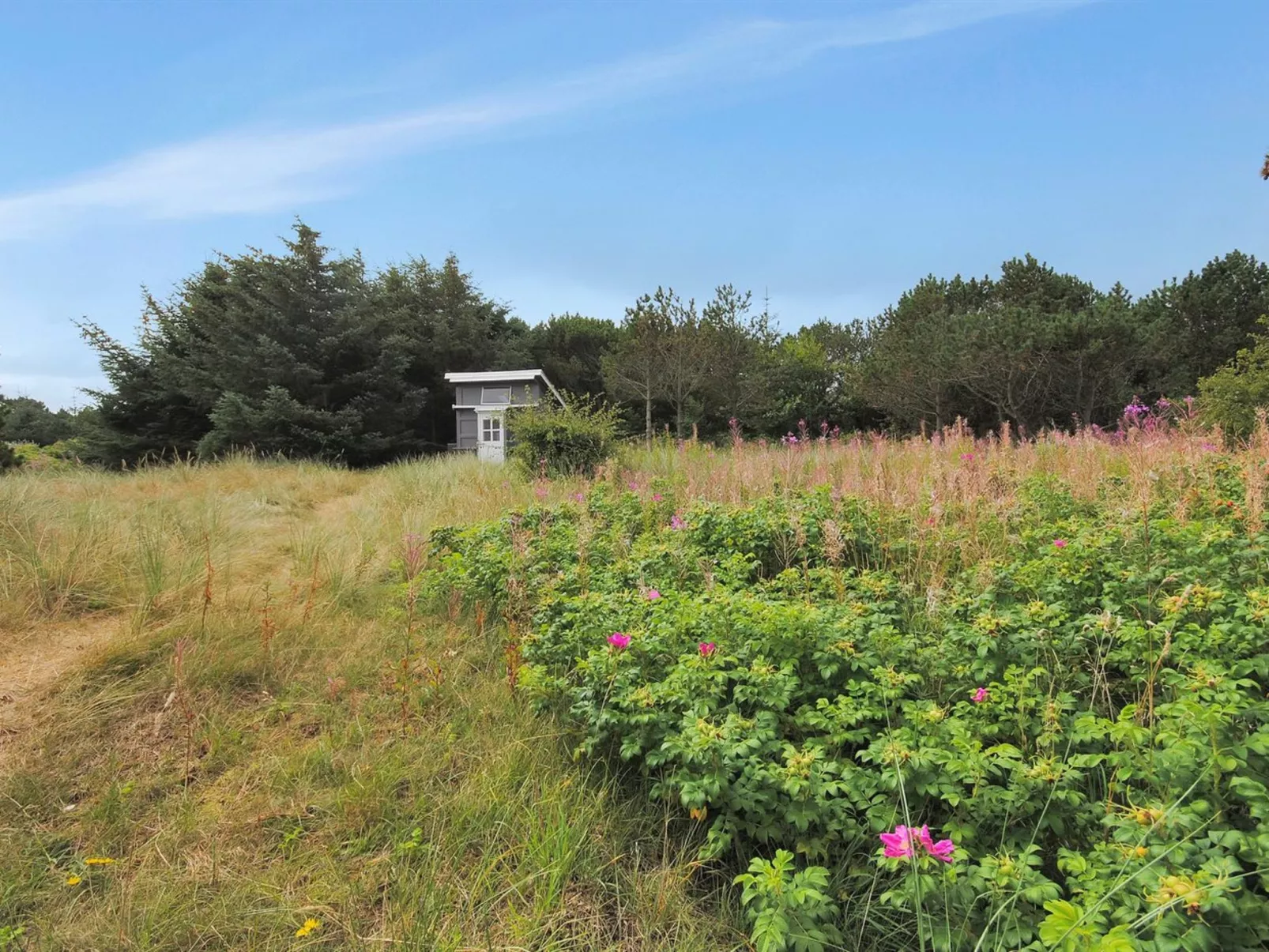 "Dode" - 225m from the sea-Outside