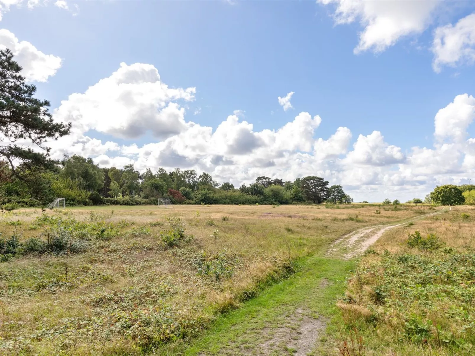 "Detlef" - 200m from the sea-Draußen