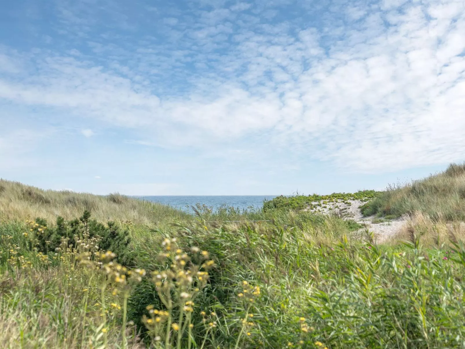 "Gerko" - 150m from the sea-Draußen