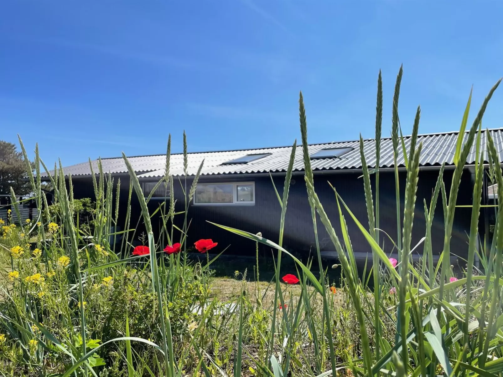 "Selle" - 100m from the sea-Outside