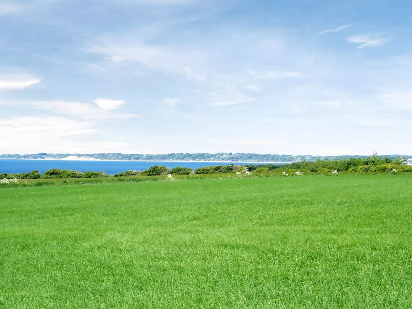 "Brynjolf" - 350m to the fjord-Outside