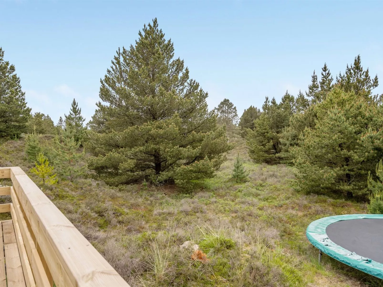 "Mariette" - 3.1km from the sea-Outside