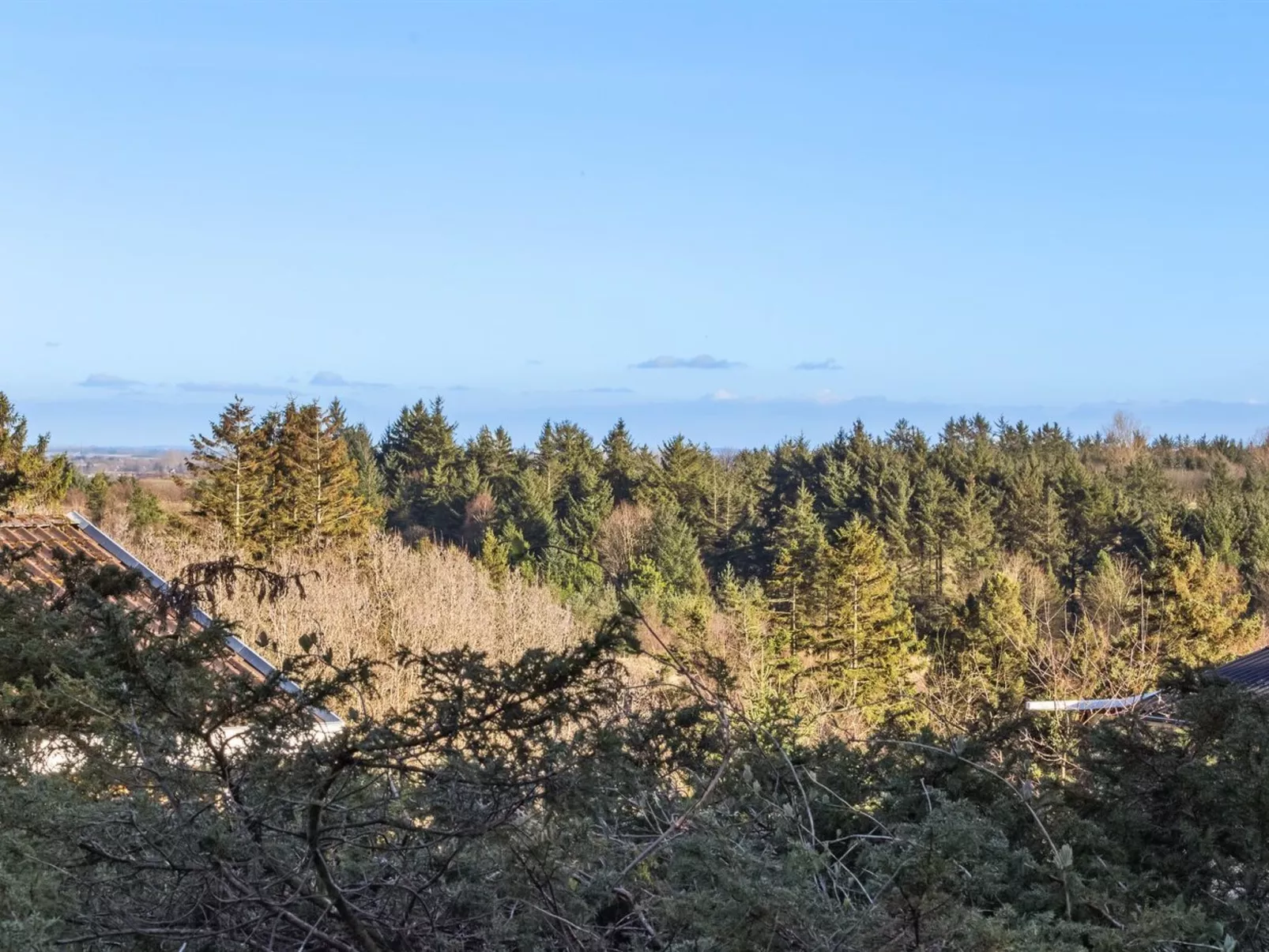 "Jaakob" - 4km from the sea-Draußen