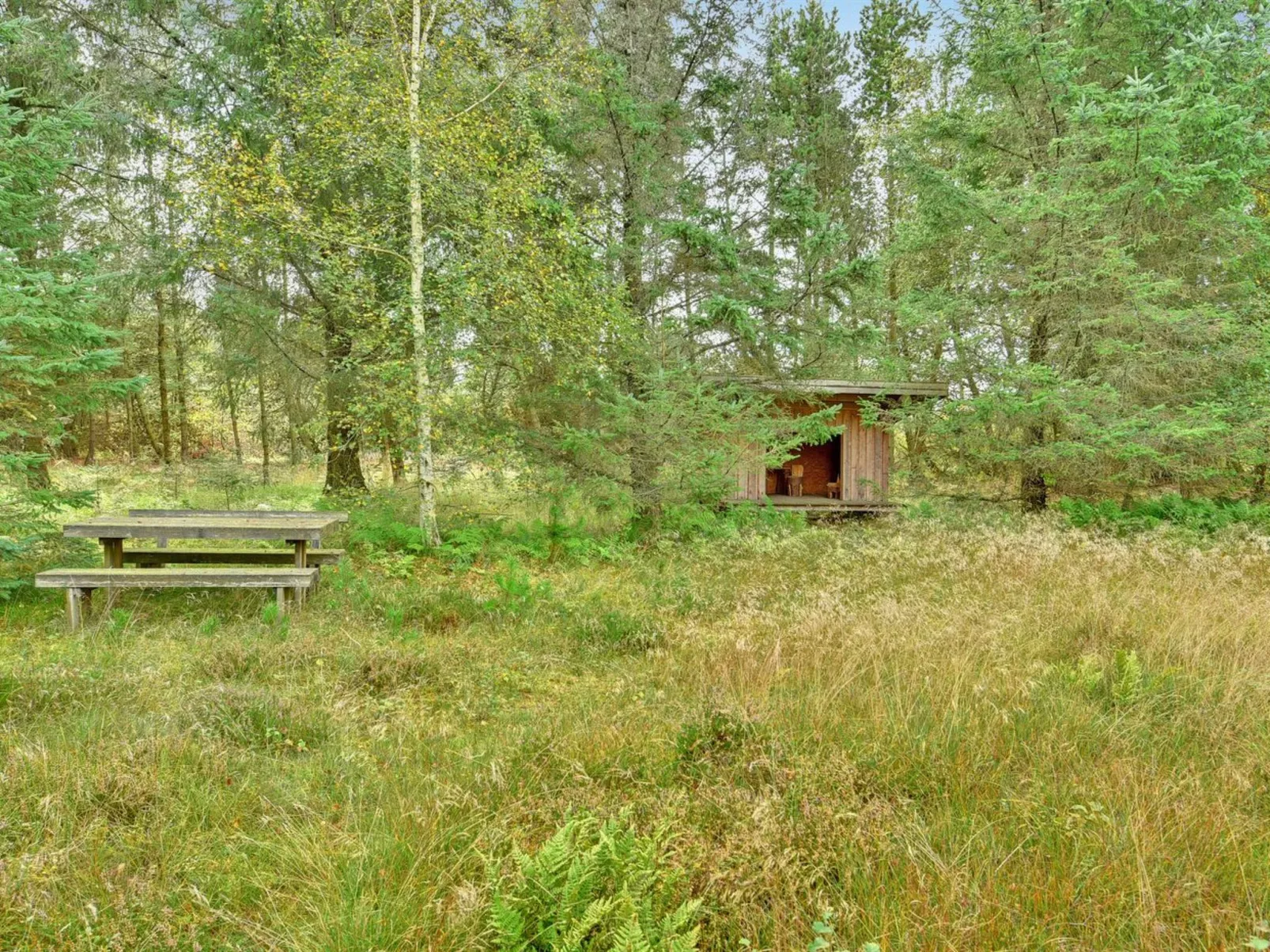 "Editt" - 2km from the sea-Outside