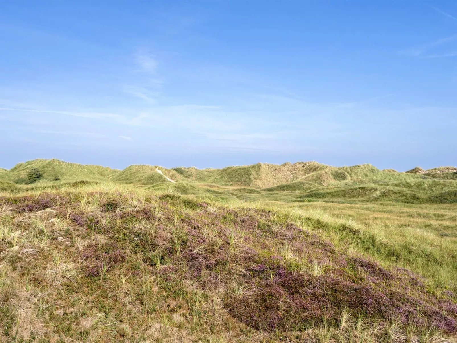 "Marjon" - 400m from the sea-Outside