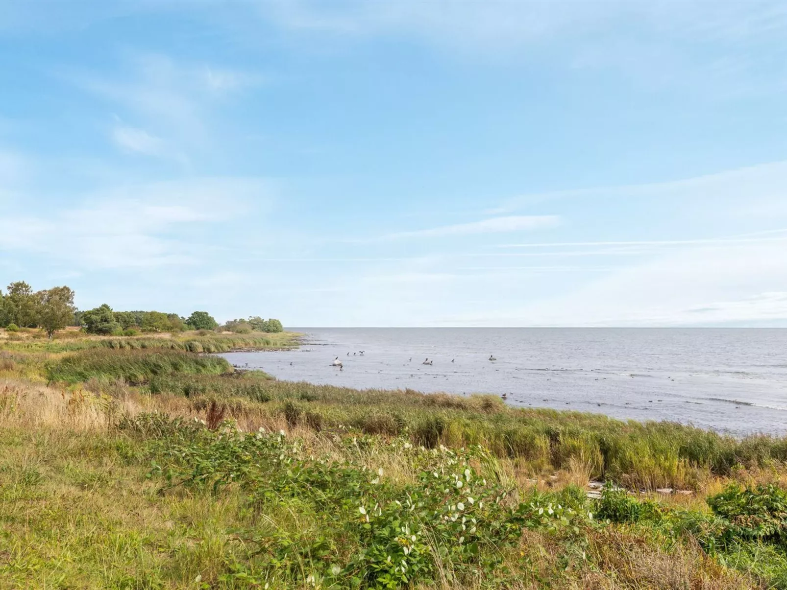 "Julietta" - 50m from the sea-Outside