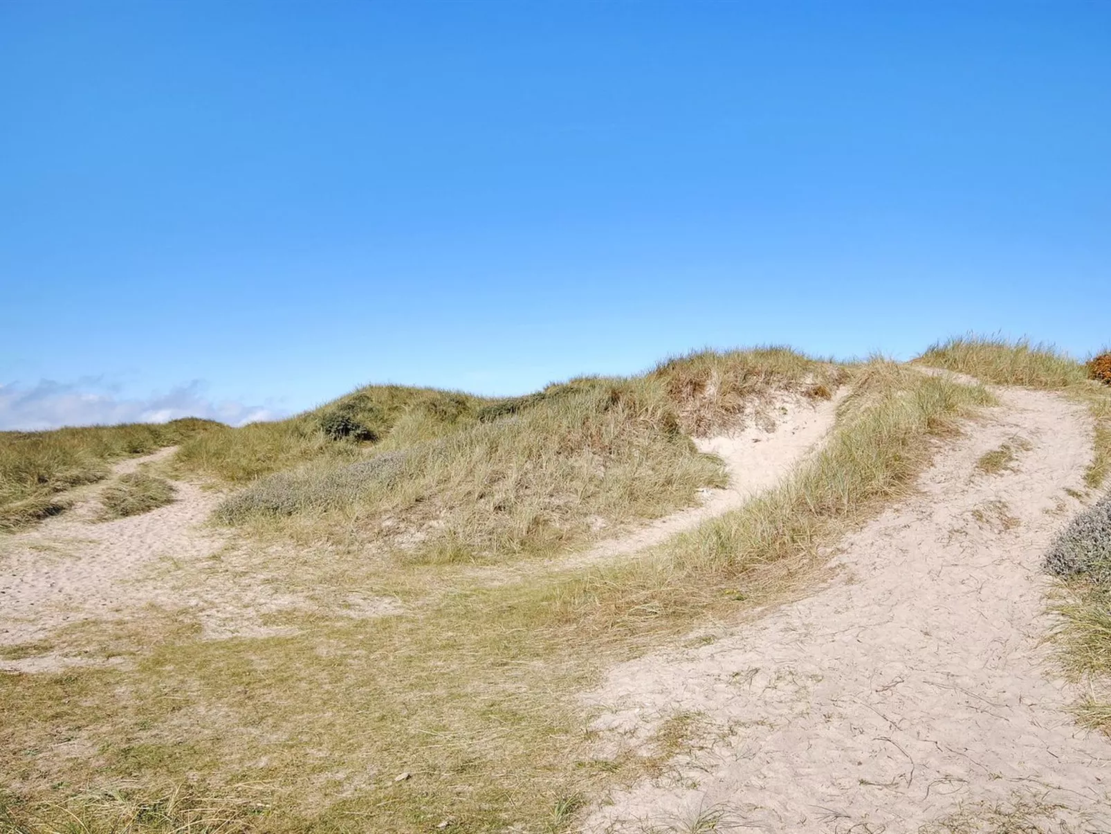 "Neven" - 900m from the sea-Dehors