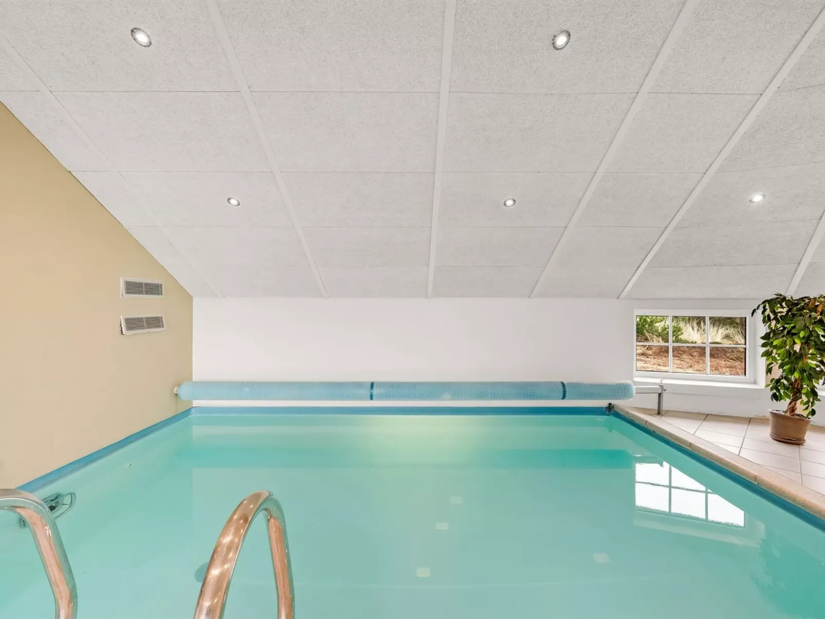 "Seppo" - 900m from the sea