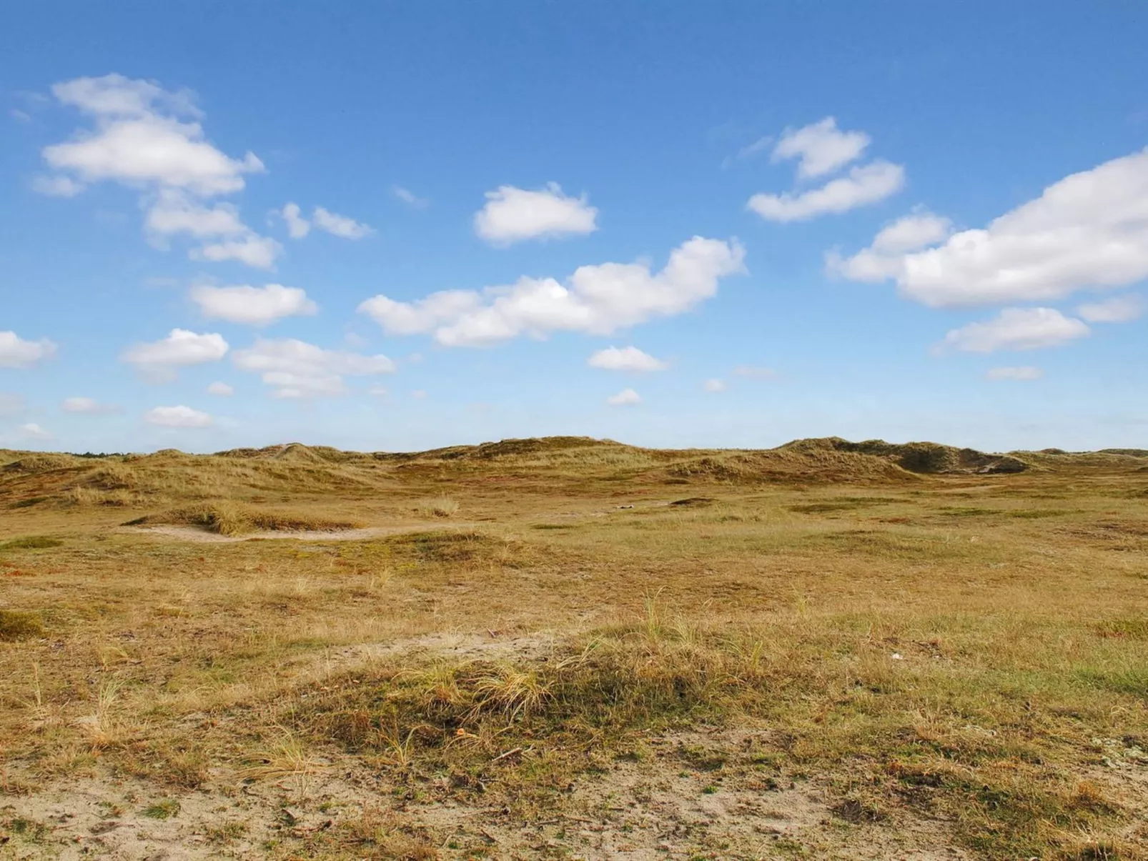 "Katha" -  from the sea-Outside