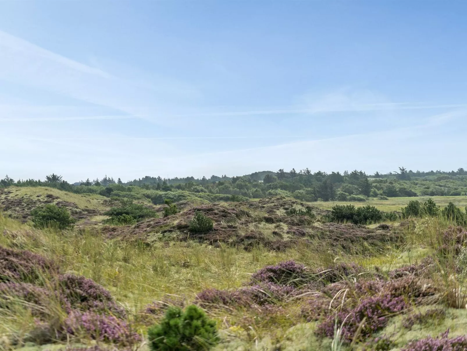 "Thorkil" - 800m from the sea-Outside