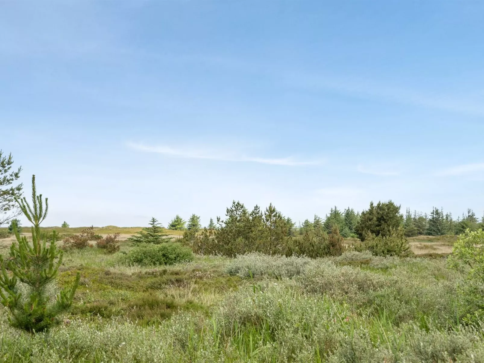 "Doria" - 2km from the sea-Dehors