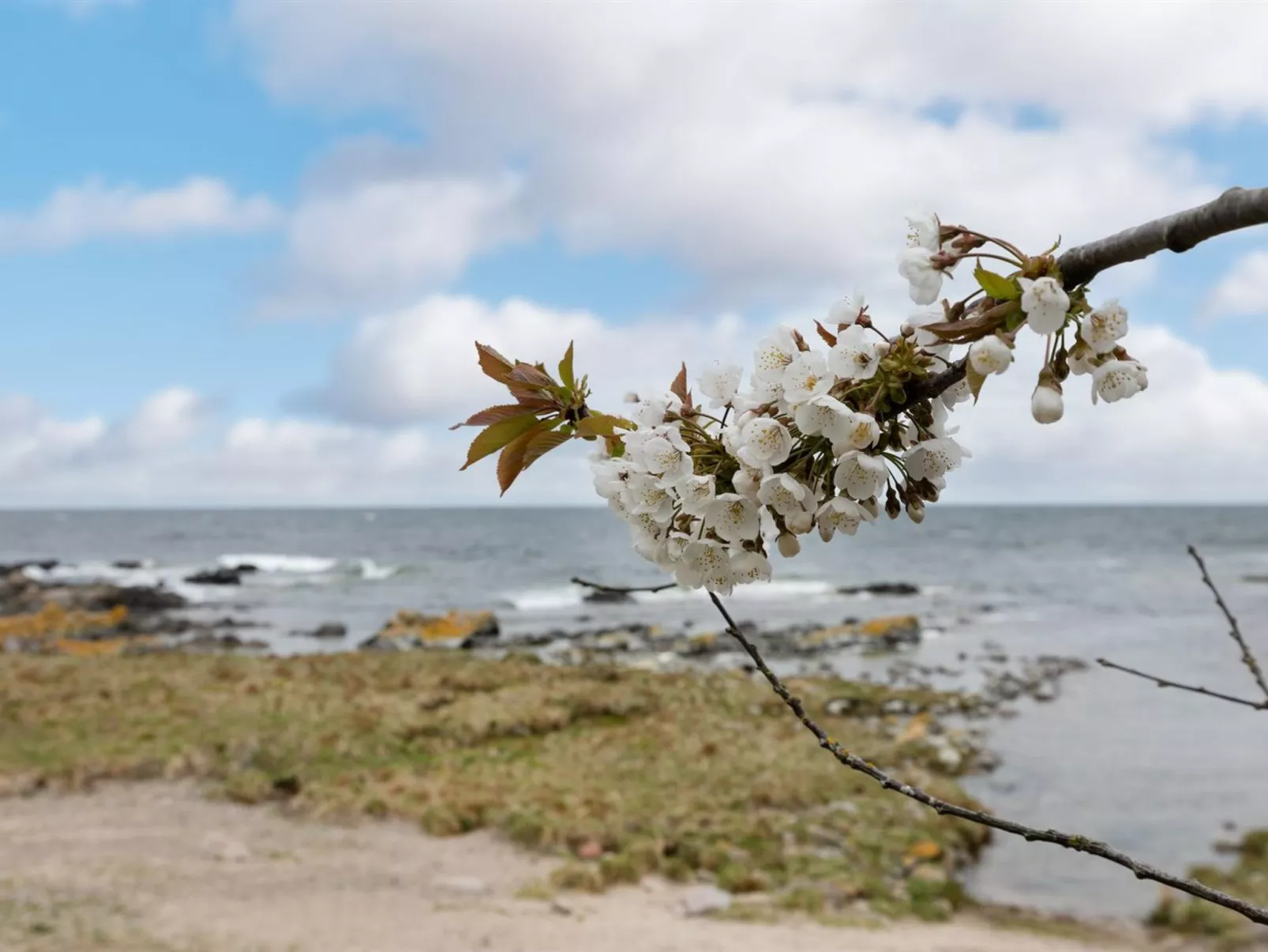 "Ensio" - 150m from the sea-Draußen