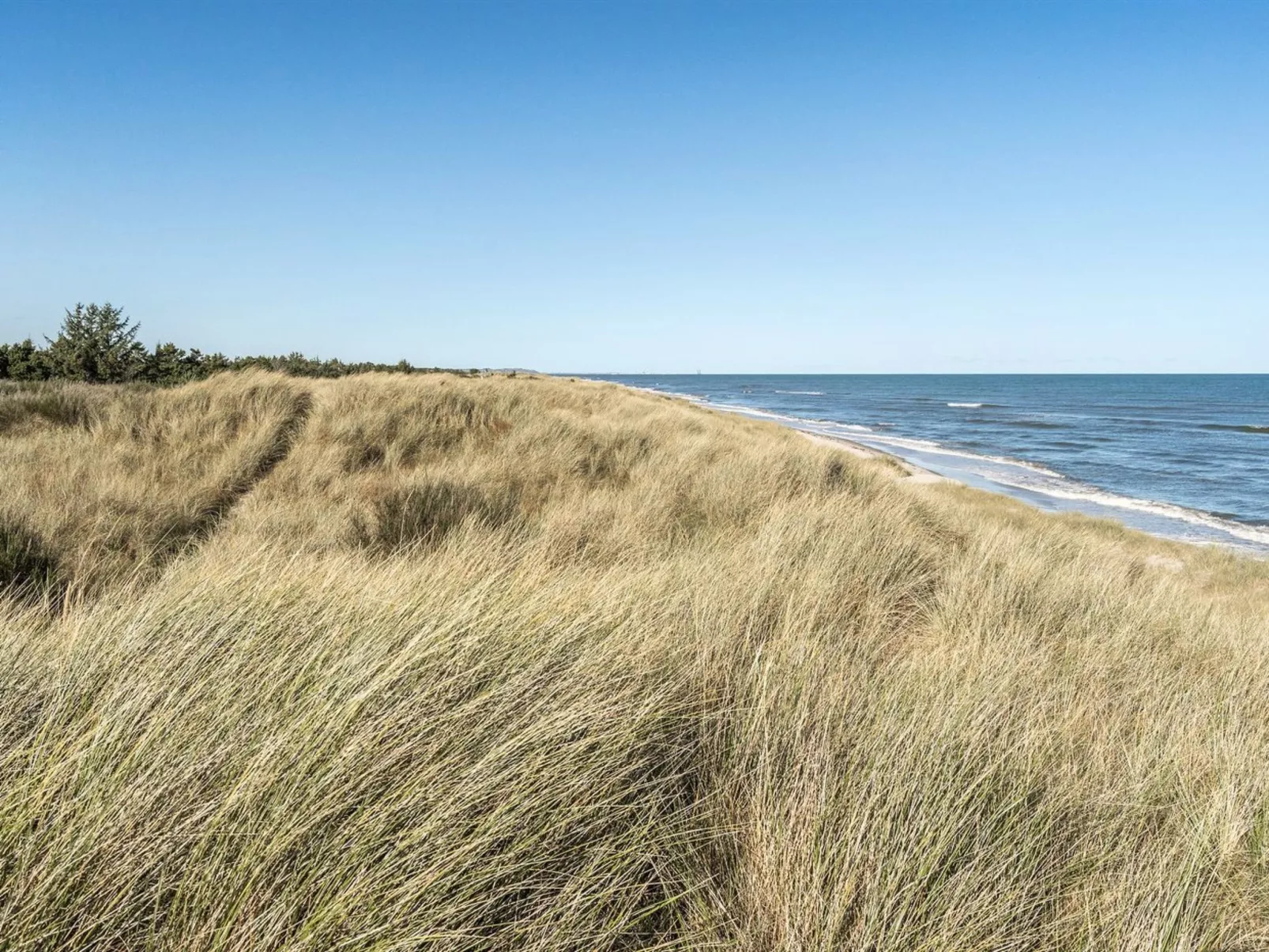 "Jeldrik" - 100m from the sea-Draußen