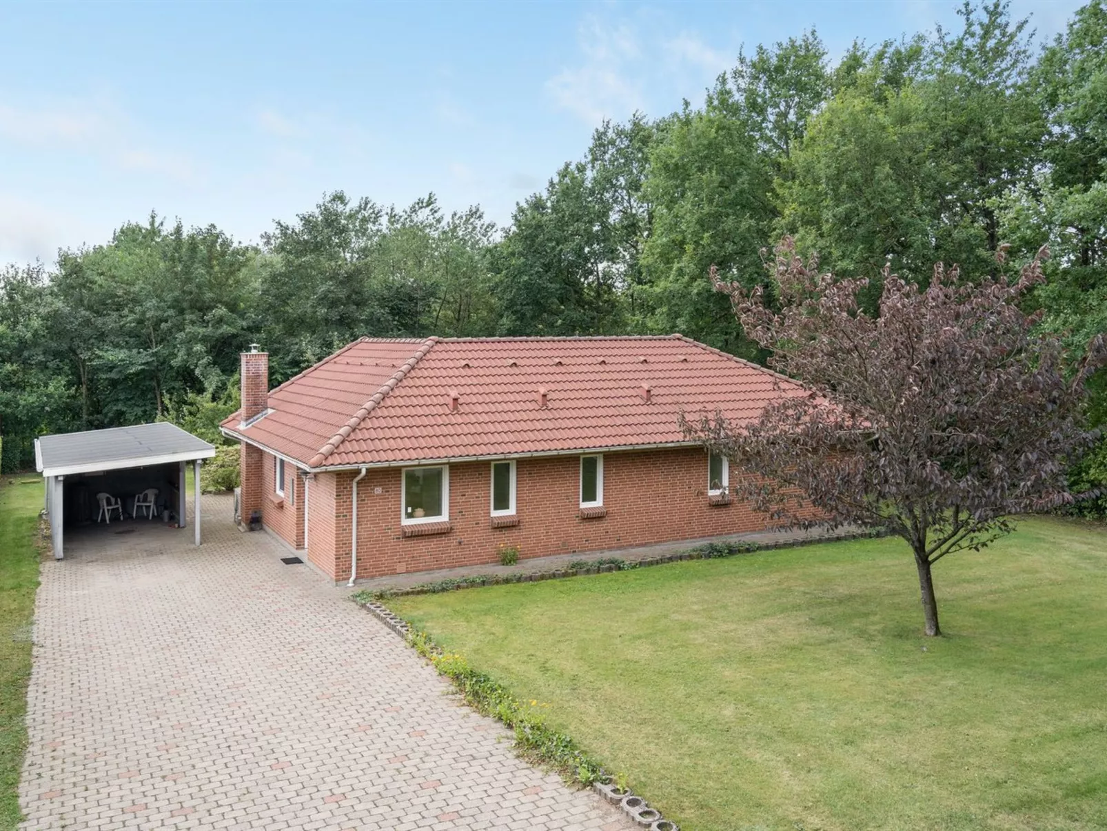 "Wyatt" - 30km from the sea-Outside