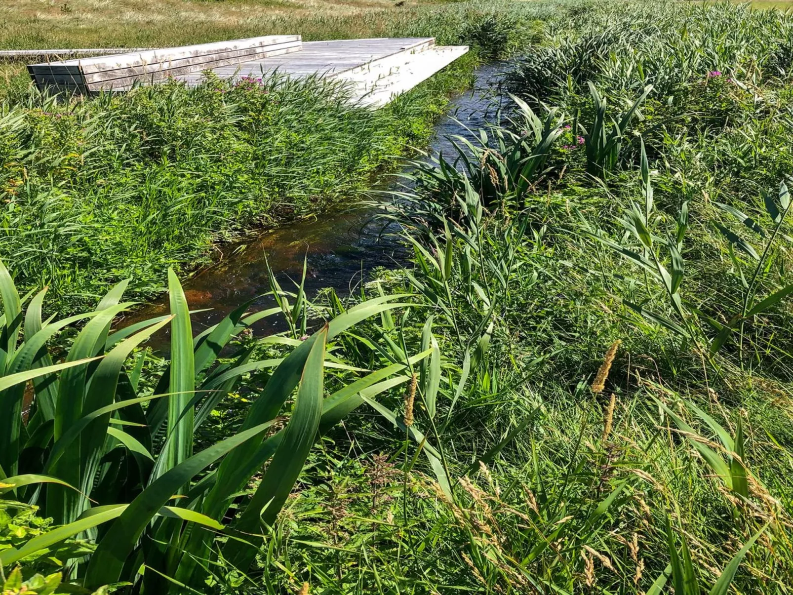 "Lökea" - 800m from the sea-Draußen