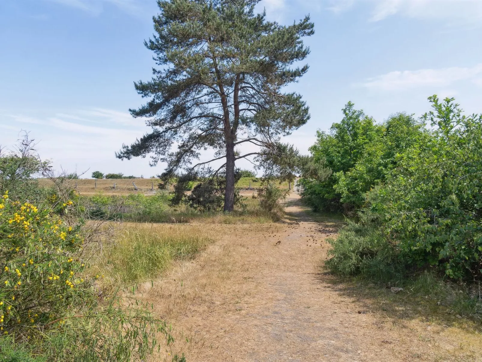 "Auke" - 100m from the sea-Draußen