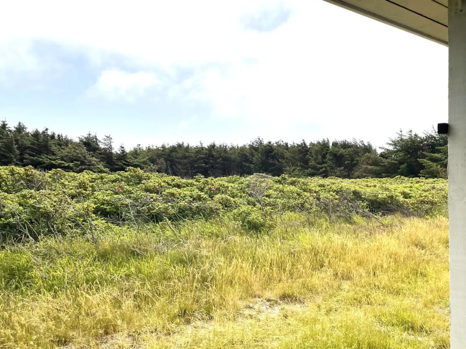 "Carelle" - 300m from the sea-Dehors