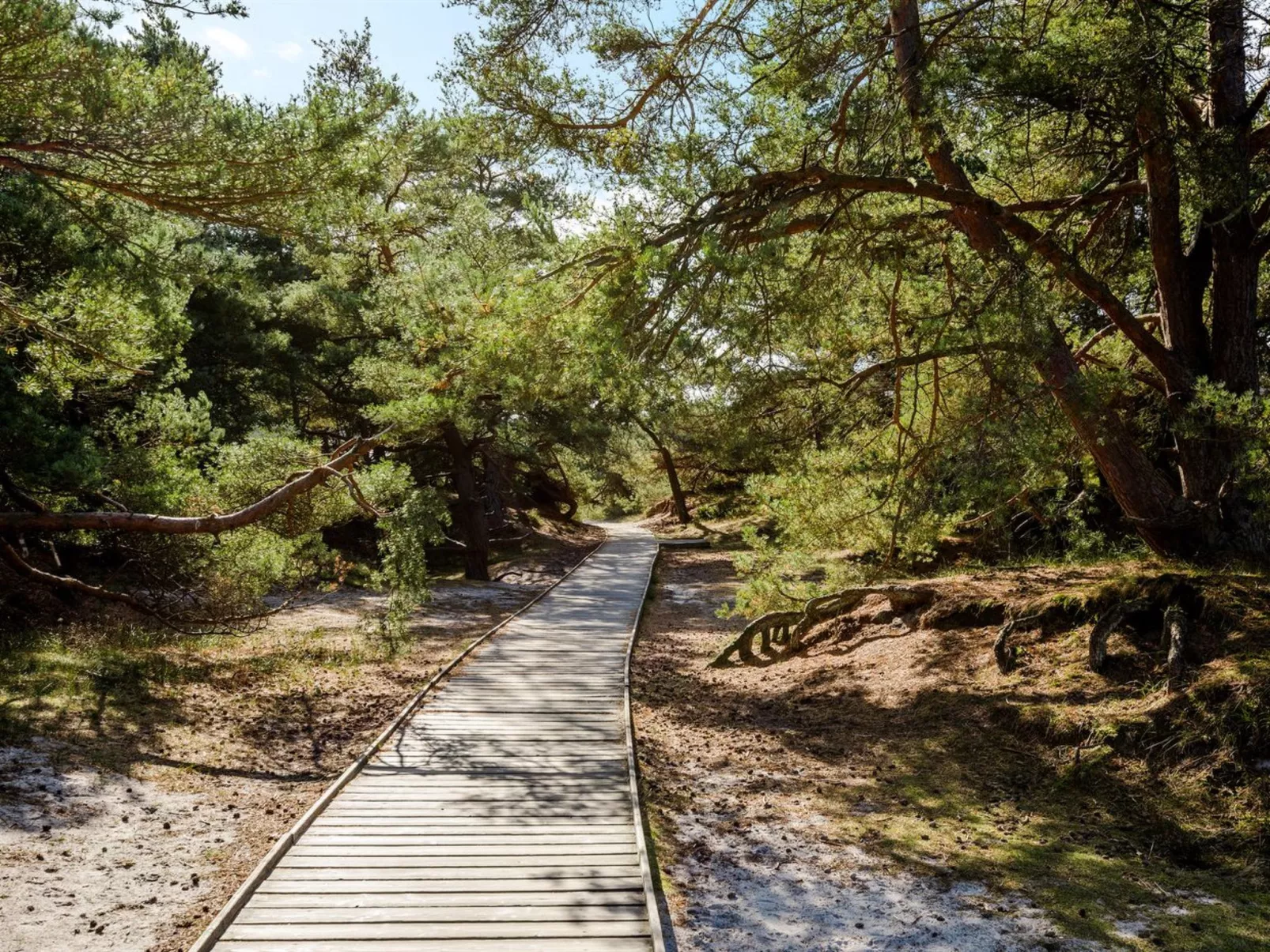 "Elza" - 800m from the sea-Outside