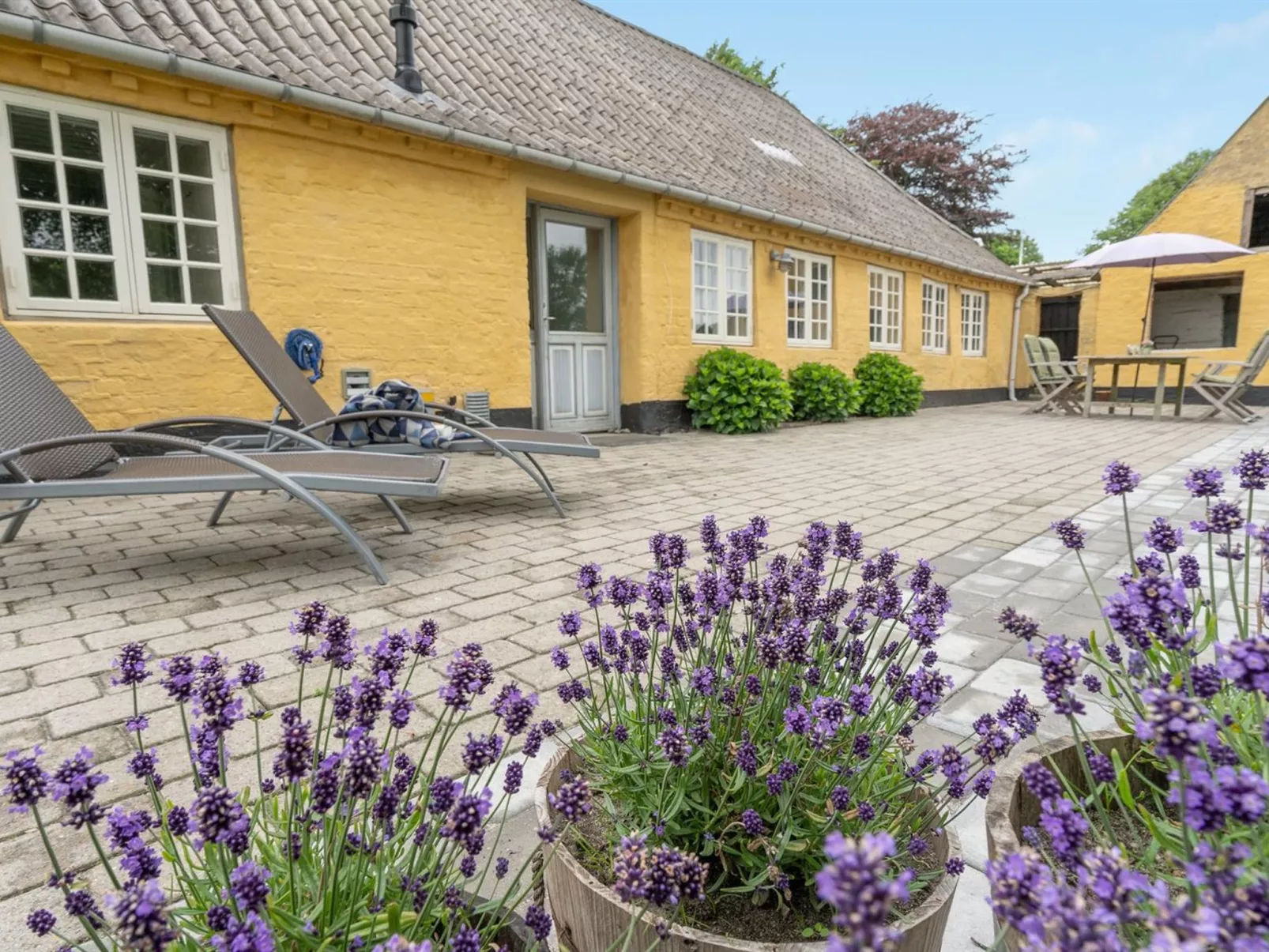 "Ilsa" - 9.8km from the sea-Dehors