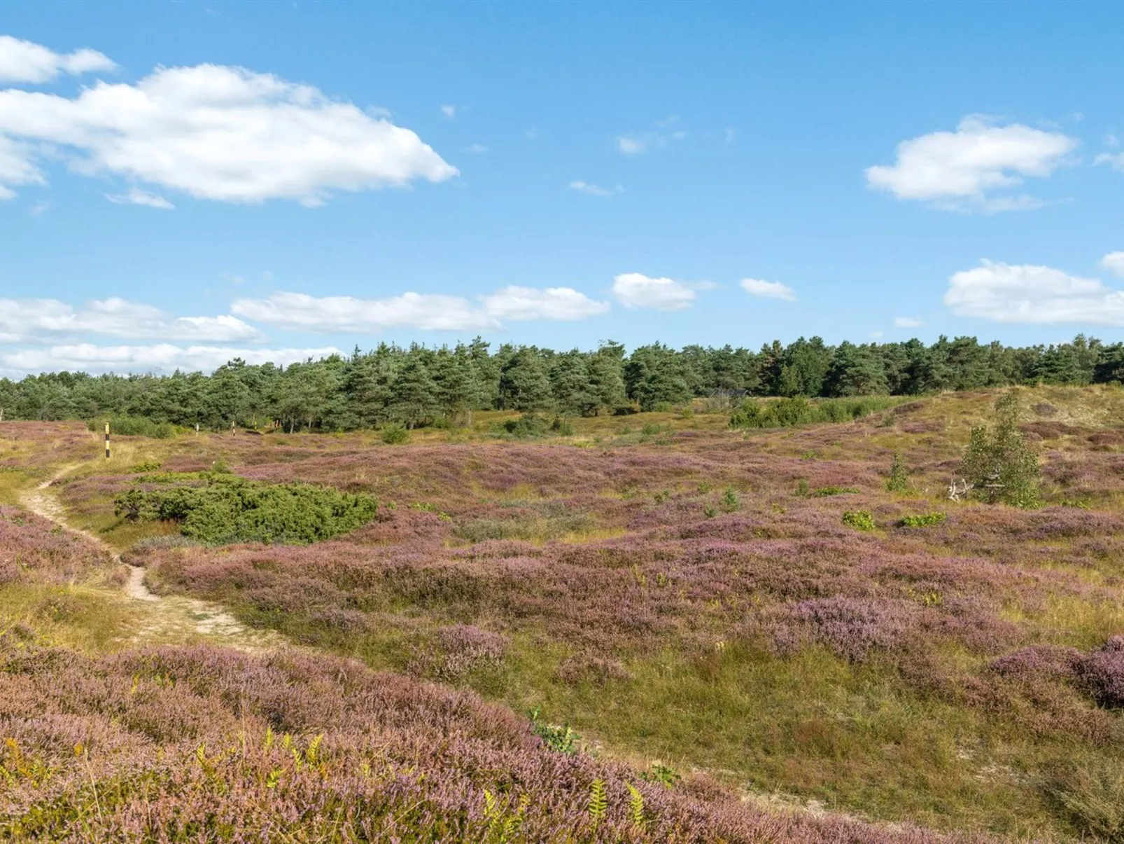 "Anarosa" - 200m from the sea-Dehors