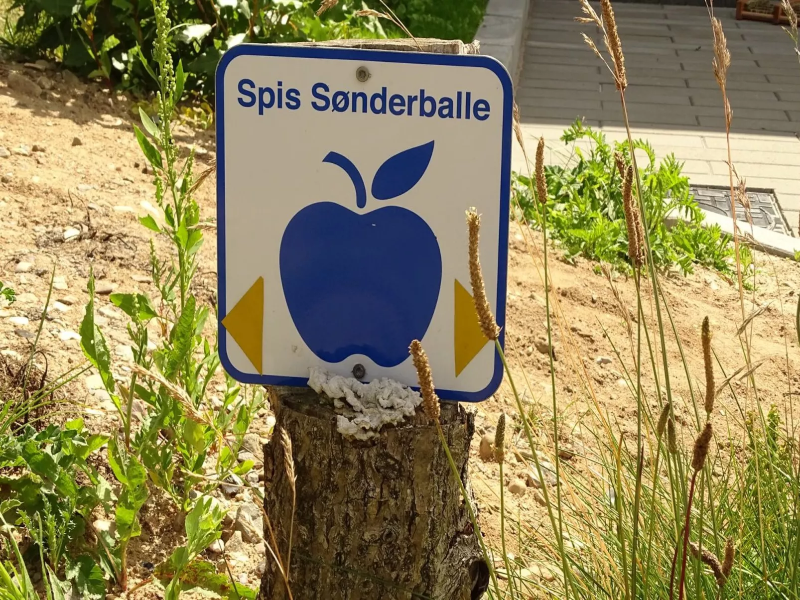 "Veselin" - 100m from the sea-Draußen