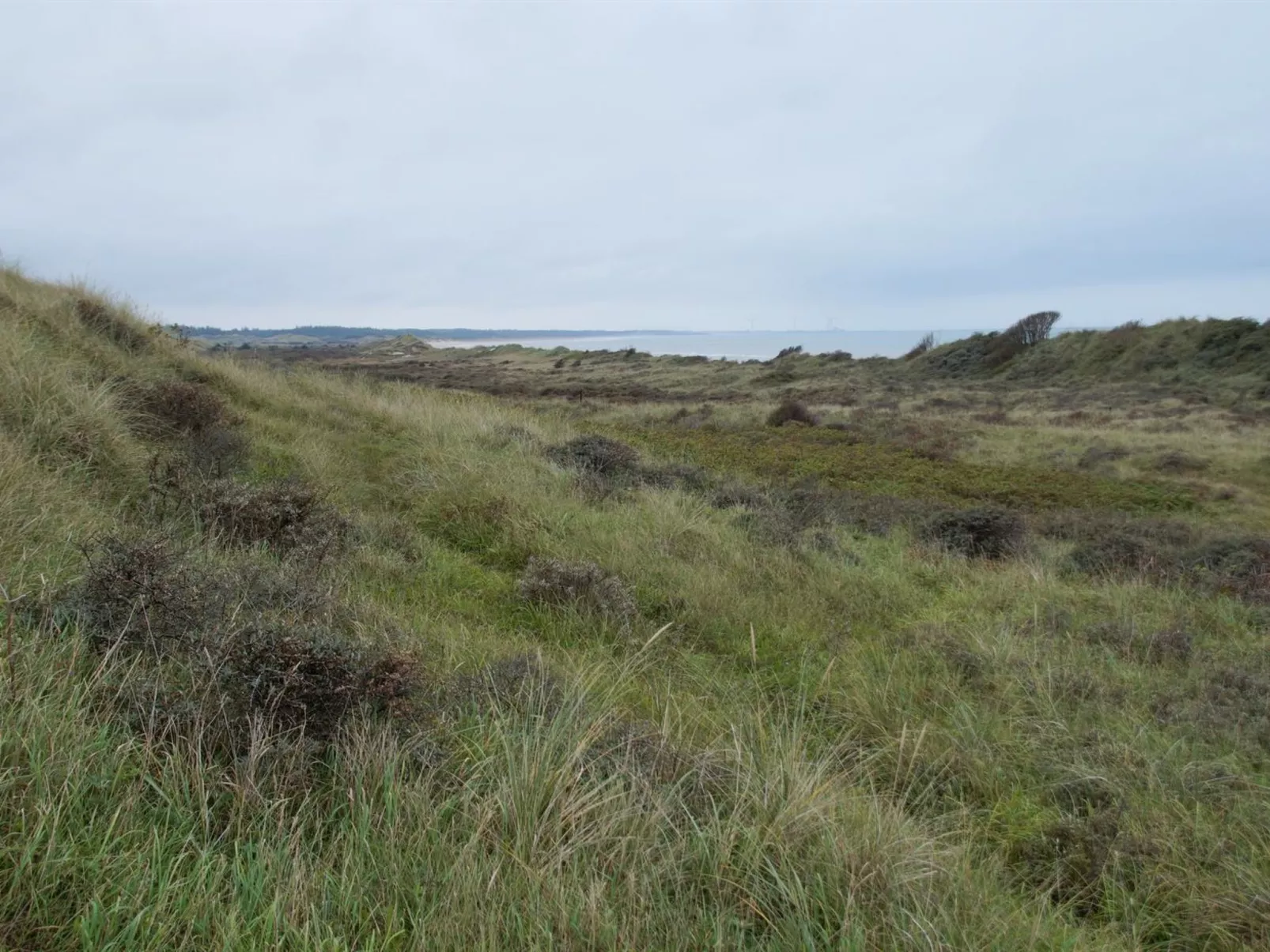 "Amadahy" - 950m from the sea-Draußen