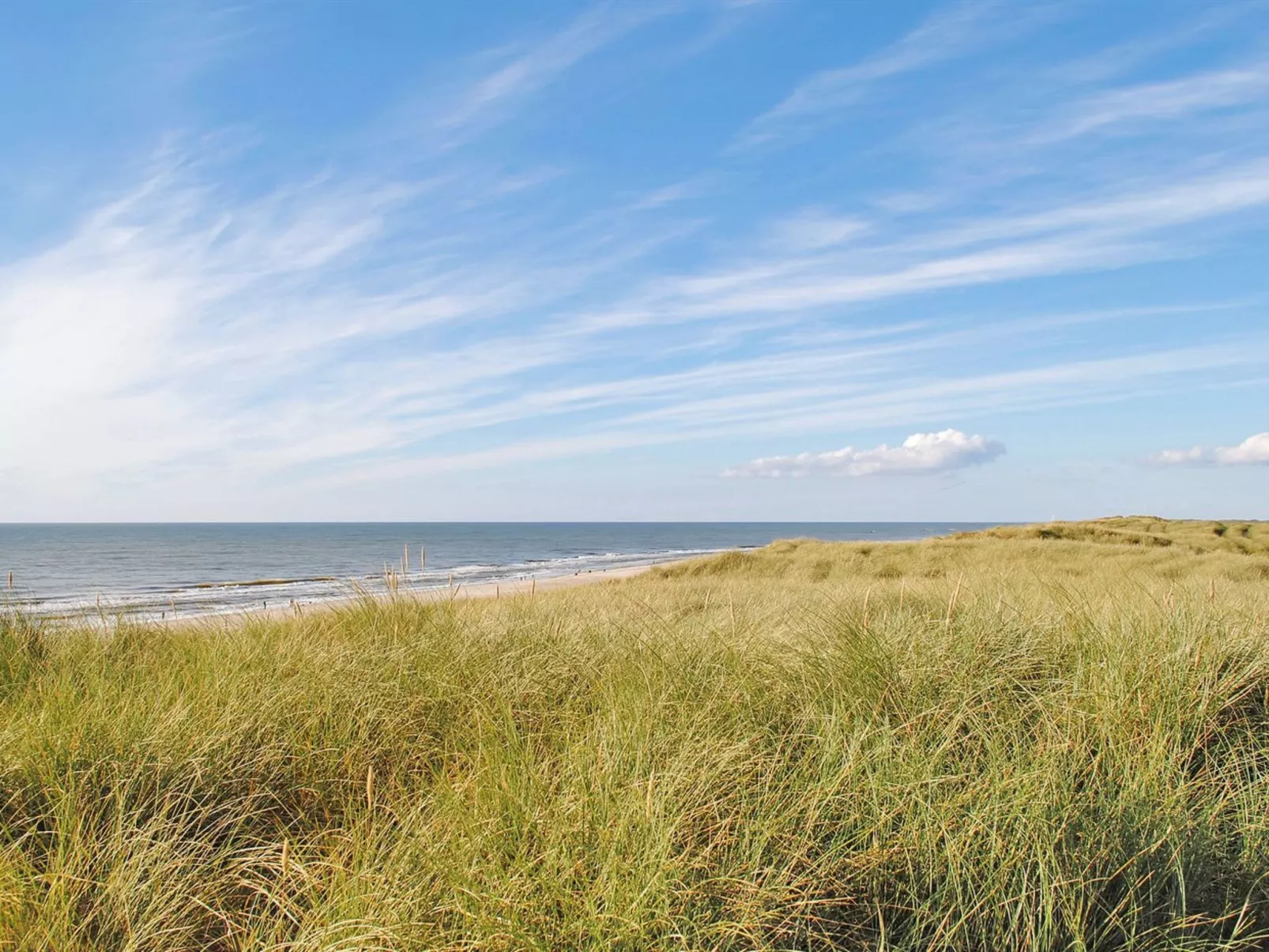 "Mogens" -  from the sea-Draußen