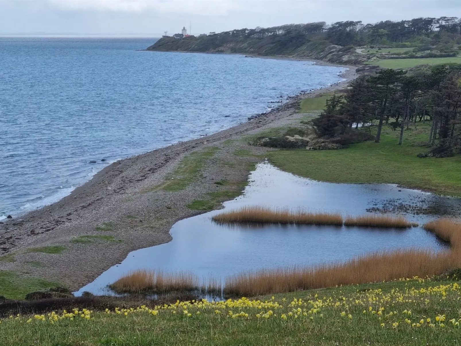 "Miona" - 725m from the sea-Outside