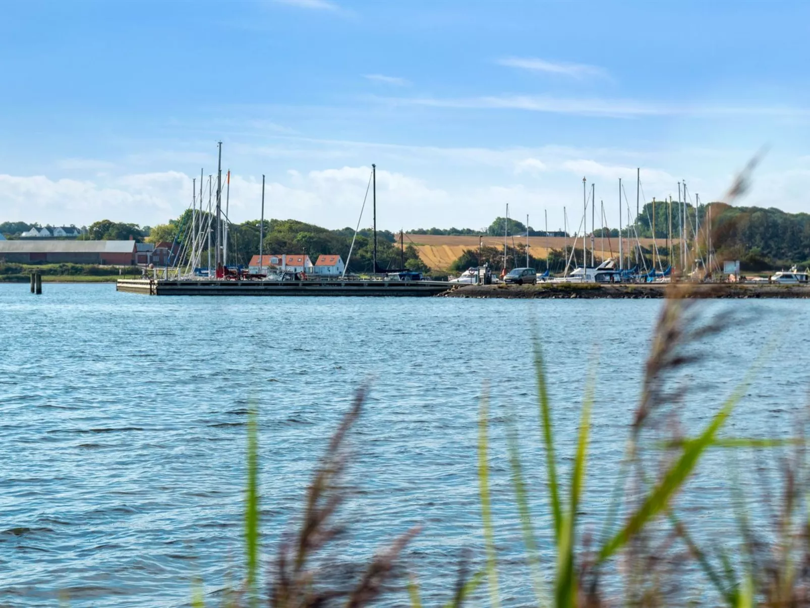 "Peetu" - 200m to the fjord-Outside