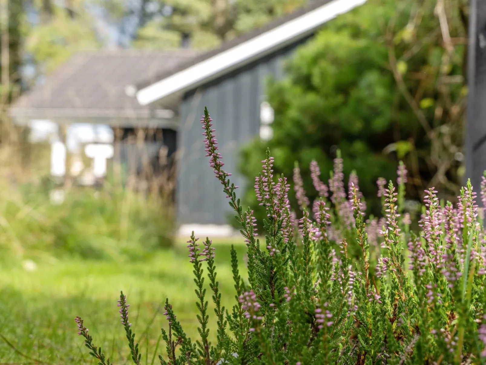 "Grimi" - 4km from the sea-Outside