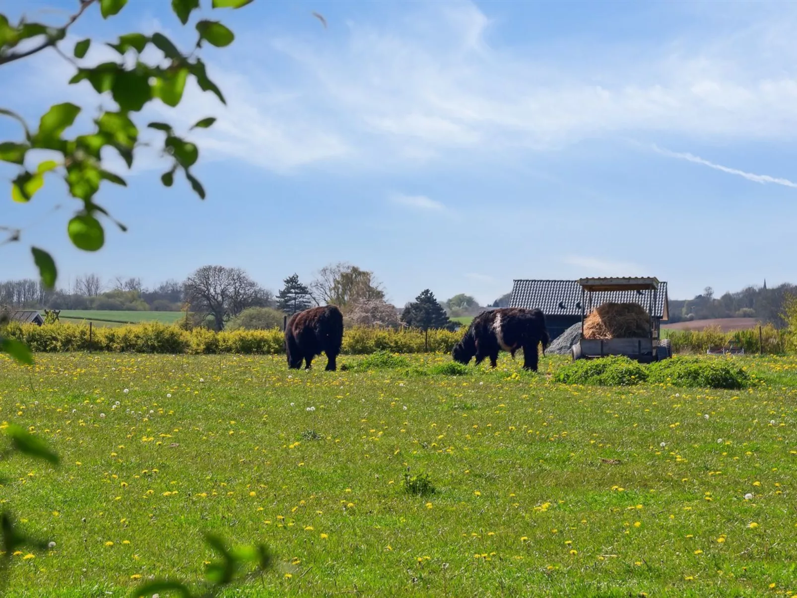 "Bjarke" - 200m from the sea-Dehors