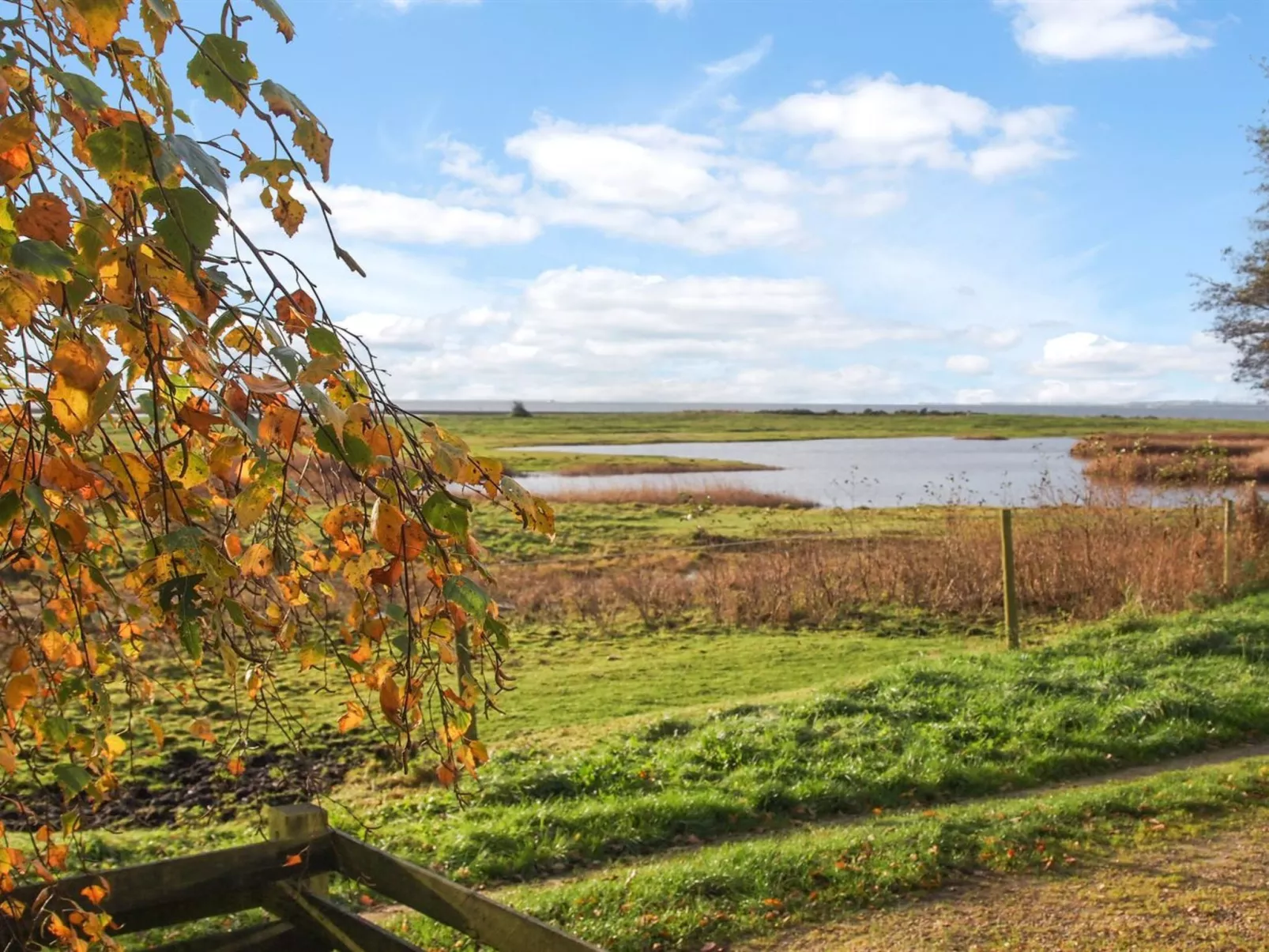 "Simo" - 250m from the sea-Dehors