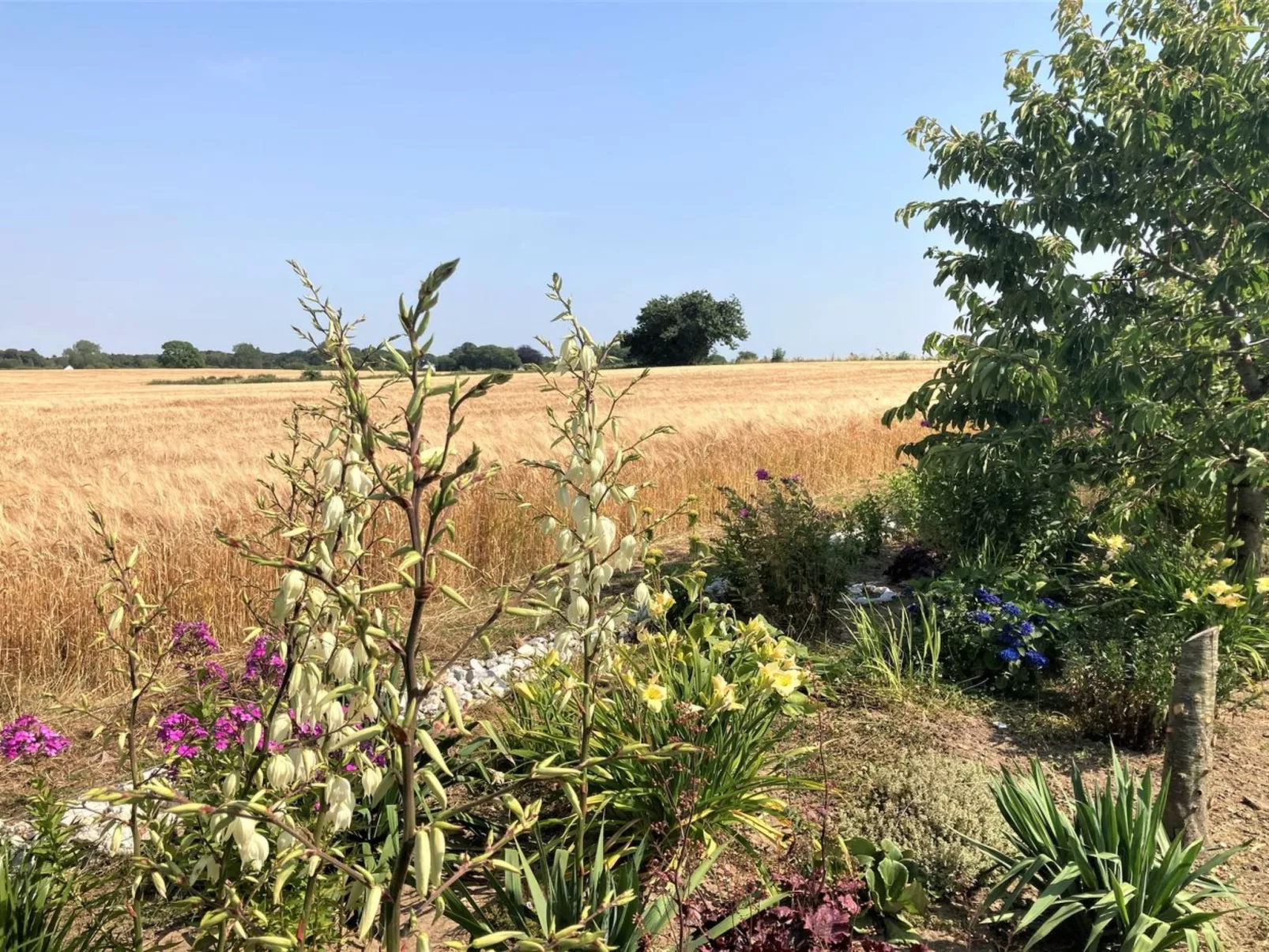 "Asya" - 600m from the sea-Outside