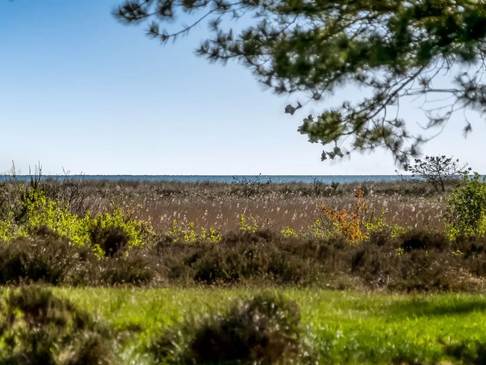 "Annestine" - 200m from the sea-Draußen