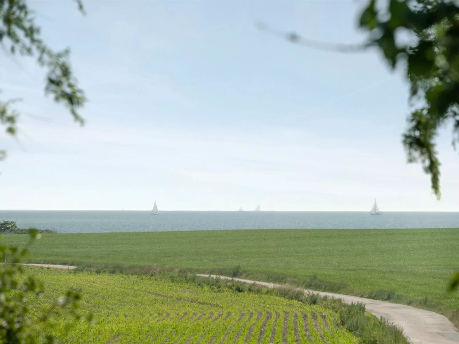 "Ilja" - 400m from the sea-Draußen