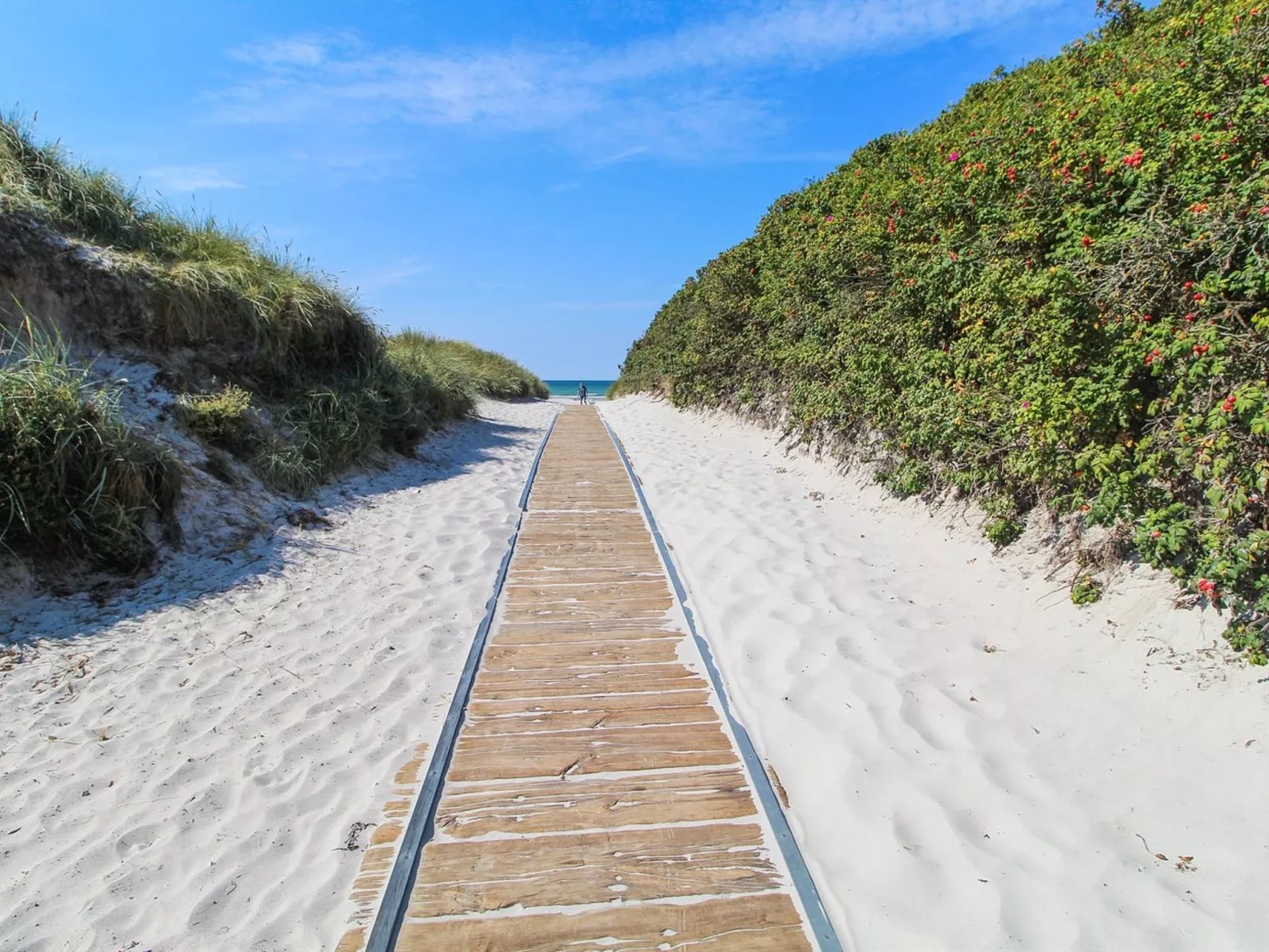 "Wilgrib" - 400m from the sea-Outside