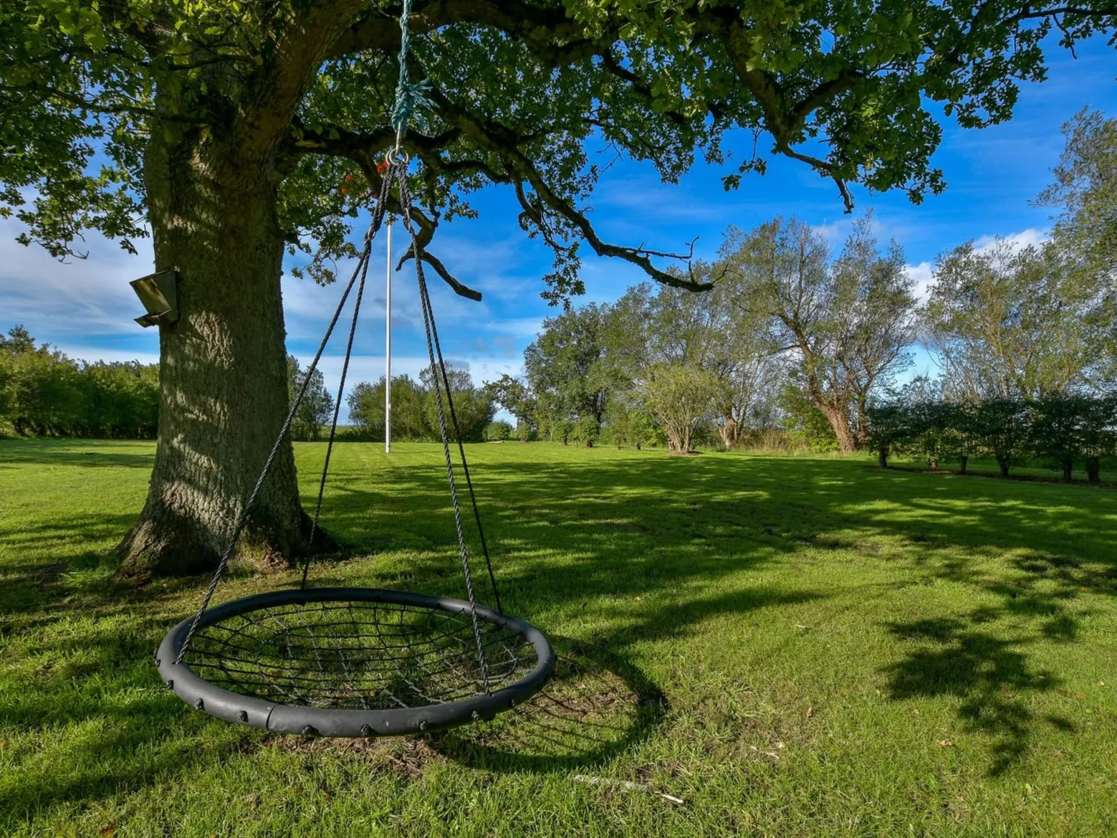 "Knut" - 10km from the sea-Outside