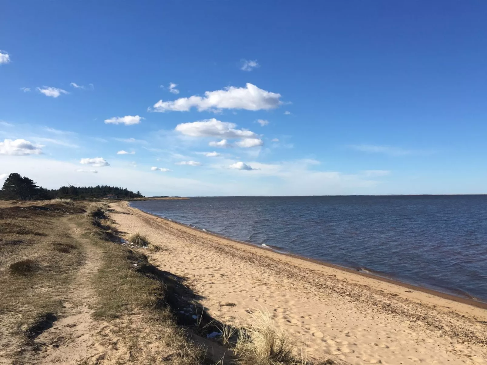 "Elevine" - 300m to the fjord-Dehors