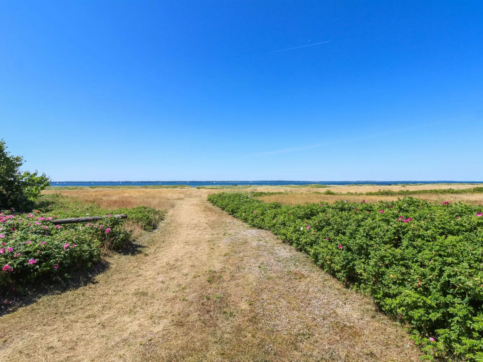 "Elisej" - 100m from the sea-Outside