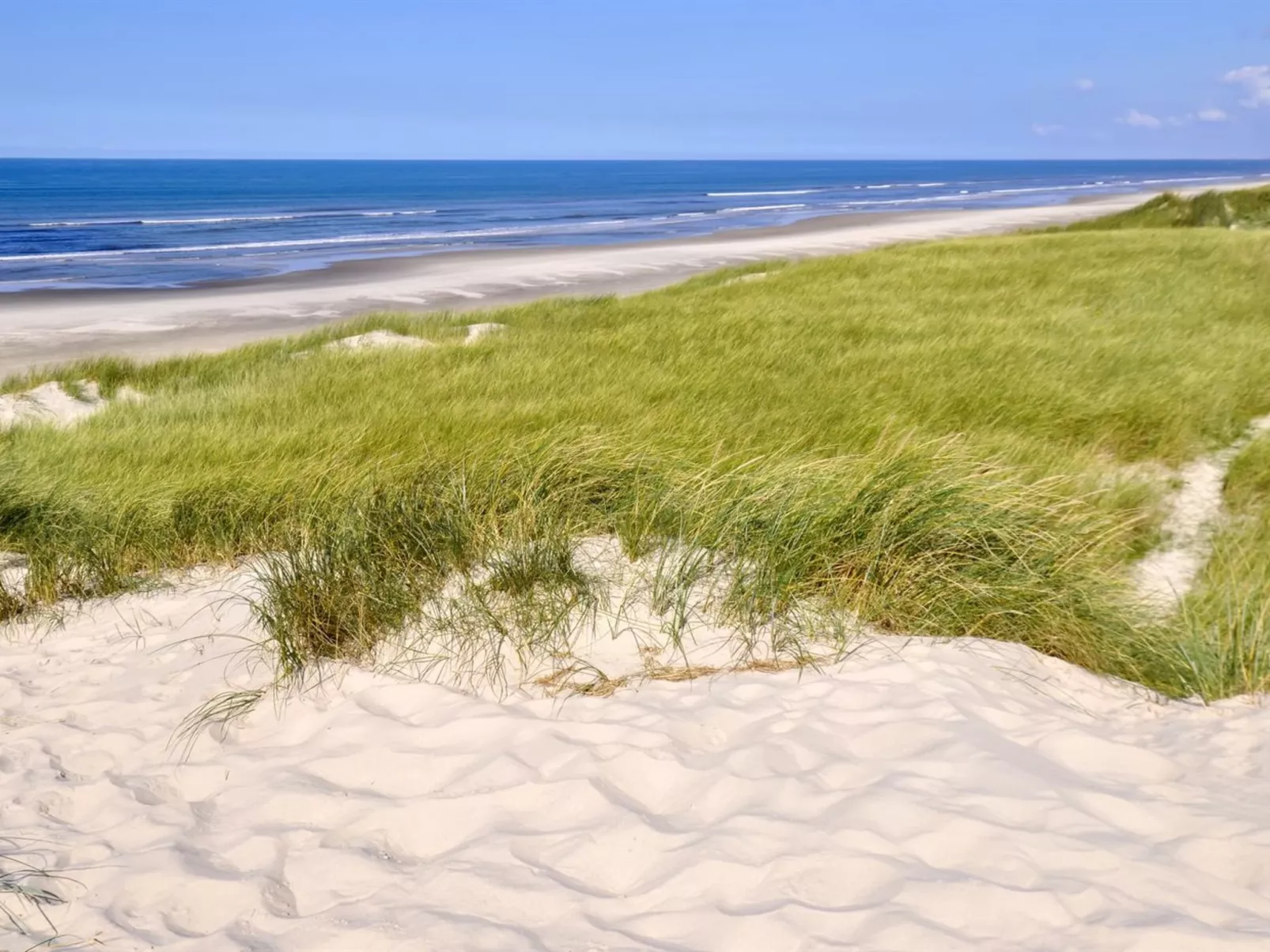 "Elsa" - 700m from the sea-Draußen