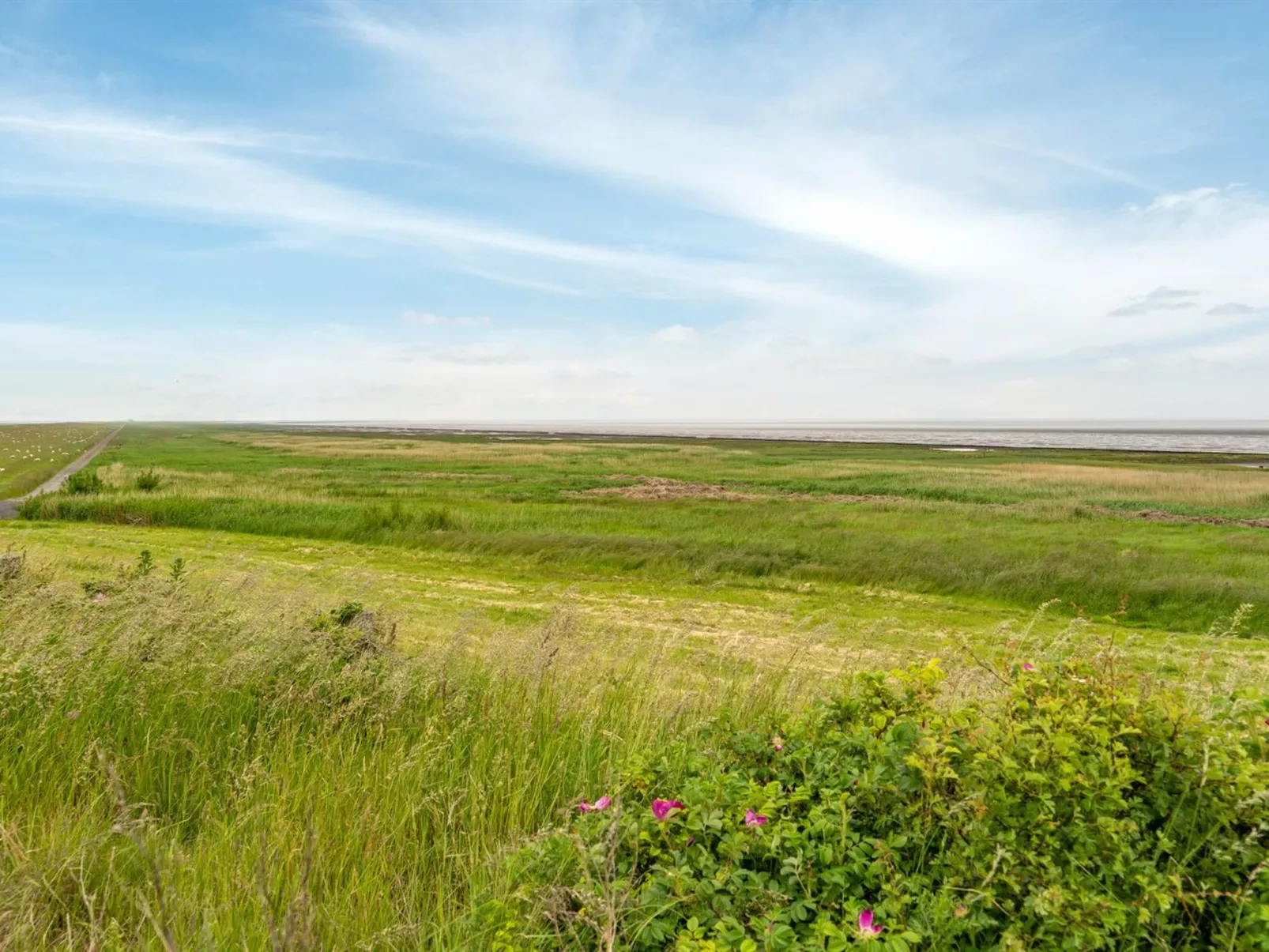 "Annagrete" - 12km from the sea-Outside