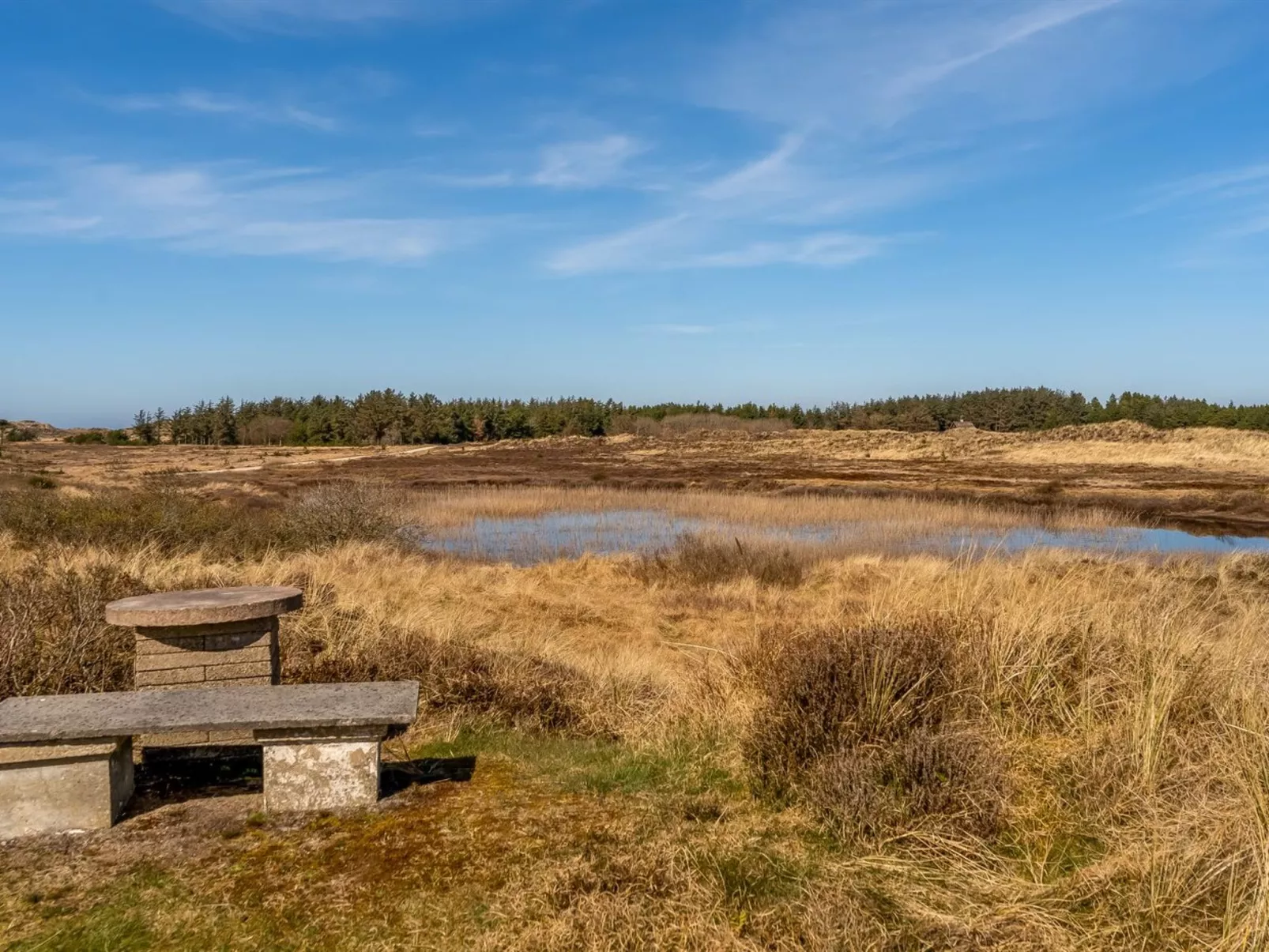 "Elisa" - 1.2km from the sea-Outside